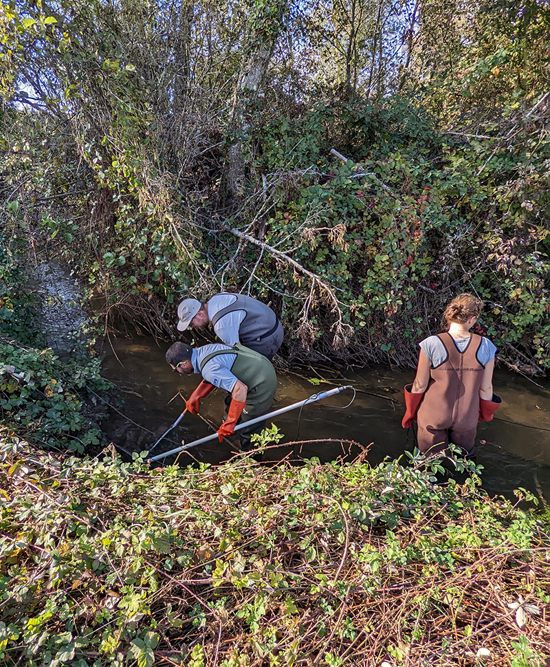 restauration-eau-ressource