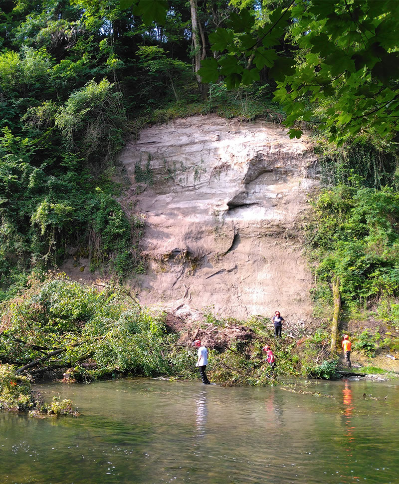 restauration-riviere-vegetation-berges