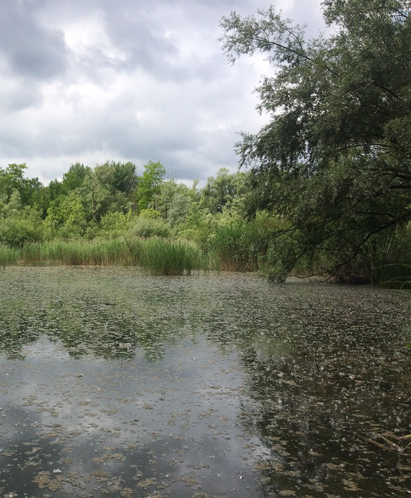 reconnection-rivieres