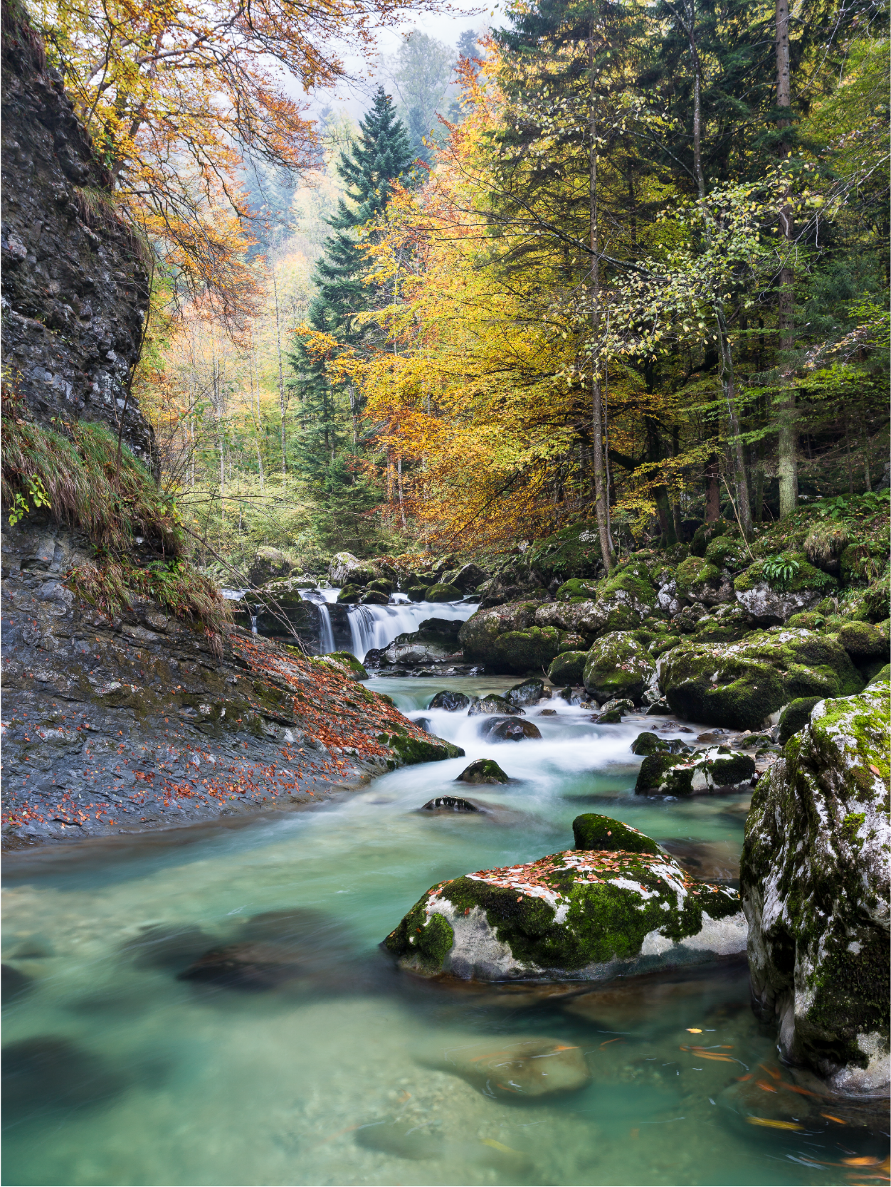 LPERRON-GuiersMort-7