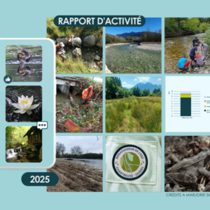 rapport activité 2025 SIAGA